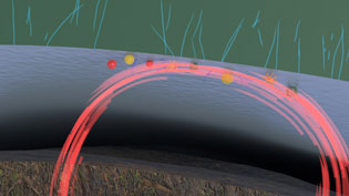 Visualisierung 3D Erklärvideo Kompostierung - Bakterien, Sporen und Mikroben setzen sich ab